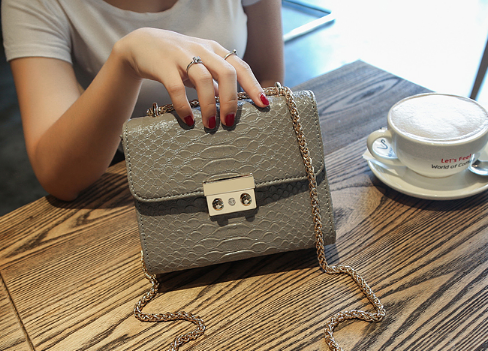 Spring and summer new Korean fashion chain bag handbag cj