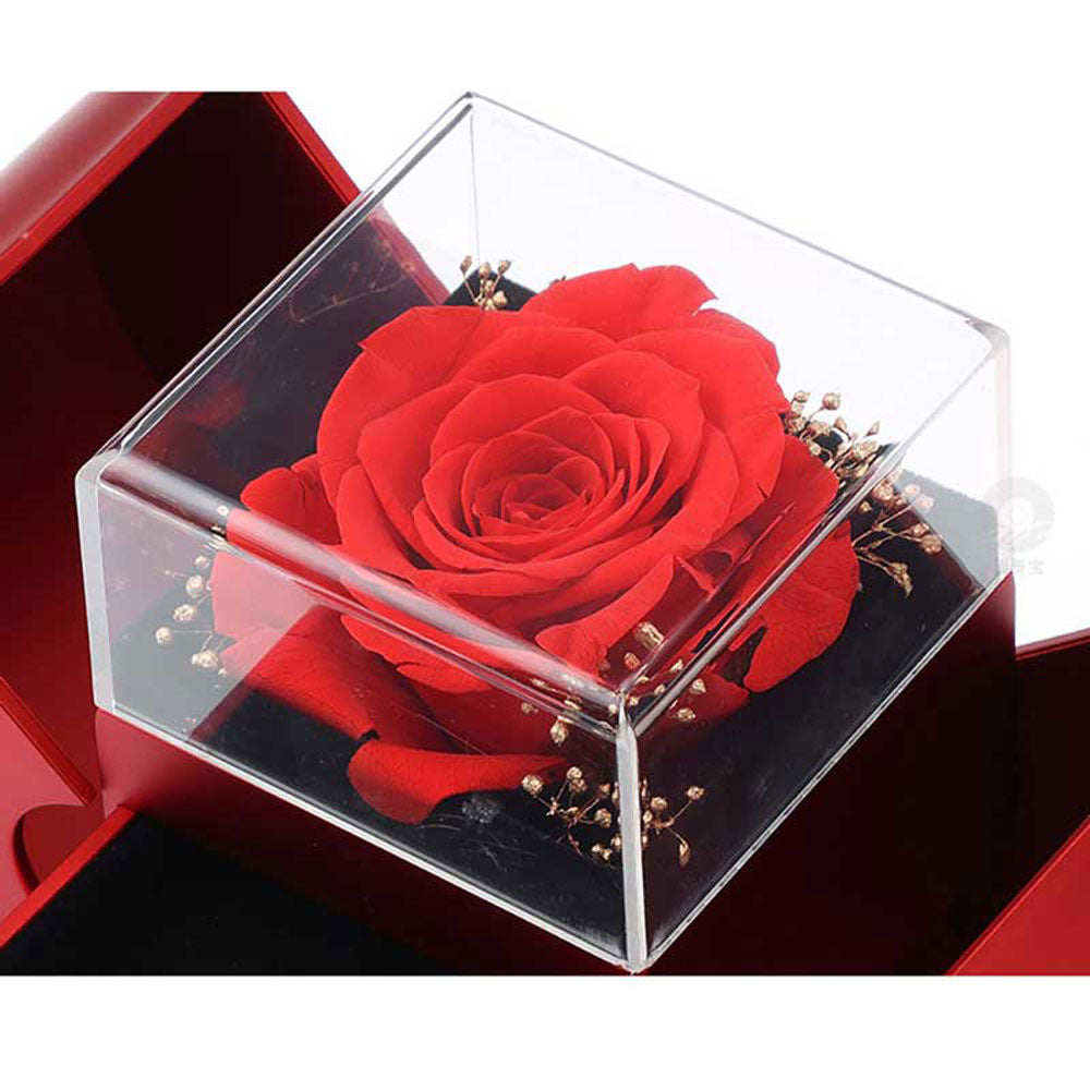 Red Apple Eternal Rose Jewelry Box with Necklace