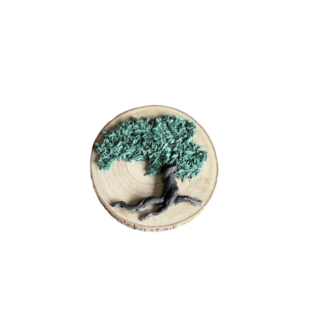 Divi Divi Tree, Aruba Natural Art