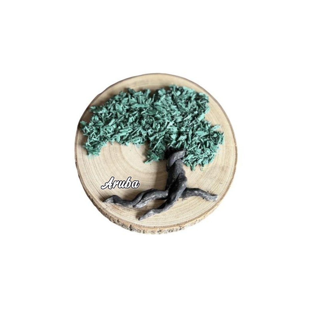 Divi Divi Tree, Aruba Natural Art