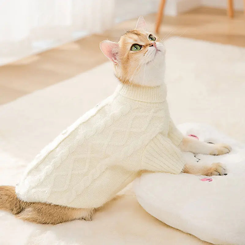 Knit Sweater Kitty Autumn And Winter Warm Two-legged Clothes cj