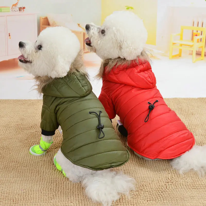 Paka Winter Jacket cj