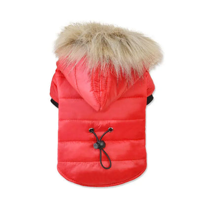 Paka Winter Jacket cj